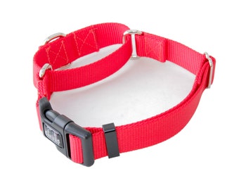 1 Inch Width Martingale w/ Buckle Nylon Dog Collar - 1" Martingale with Buckle Training Collar