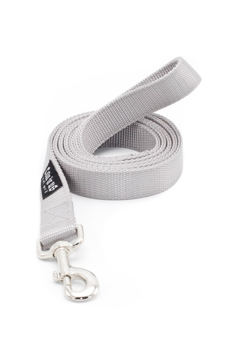 Get Nylon Cord Dog Leash | Walking | Training
