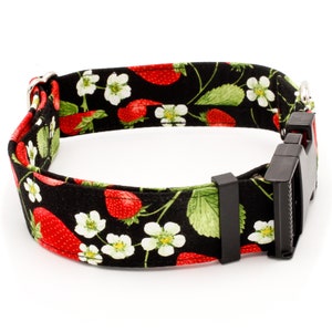 May include: A black dog collar with a red and green strawberry print. The collar has a black plastic buckle.