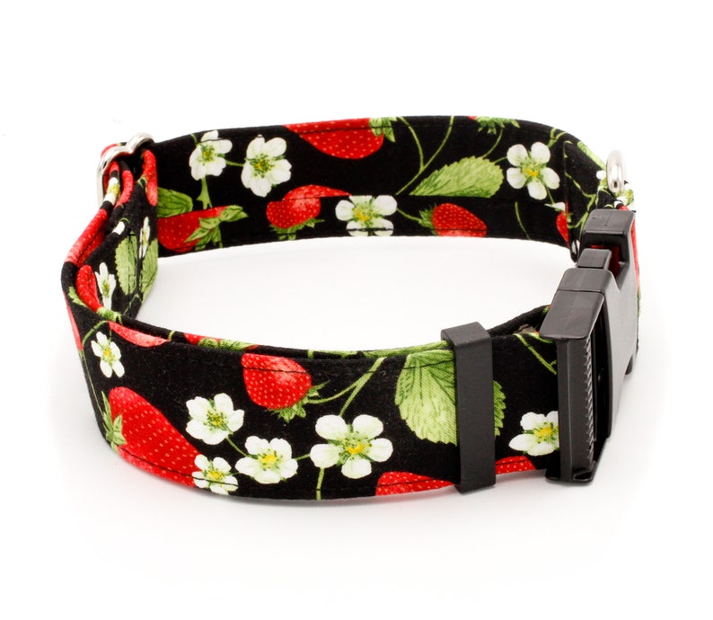 May include: A black dog collar with a red and green strawberry print. The collar has a black plastic buckle.