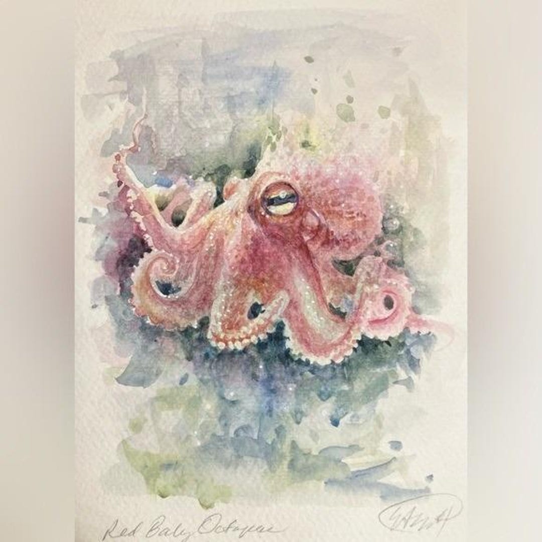 Original Octopus Watercolor Painting Red Baby Squid Underwater Art by ...