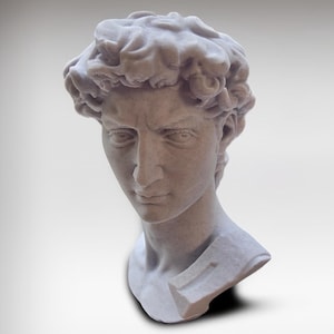 Classic David Bust - 3D Printed Renaissance Sculpture - Artistic Home Decor & Office Statue