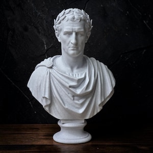 Julius Caesar Bust, Roman Emperor Statue, Roman Bust Sculpture, Bookshelf Decor, Dark Academia, History Buff Gift