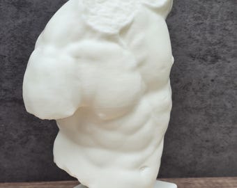 Gaddi Torso Statue, Greek Sculpture, Male Torso 3D Printed Classical Art, Anatomy Art Reference, Uffizi Florence Decor Gift