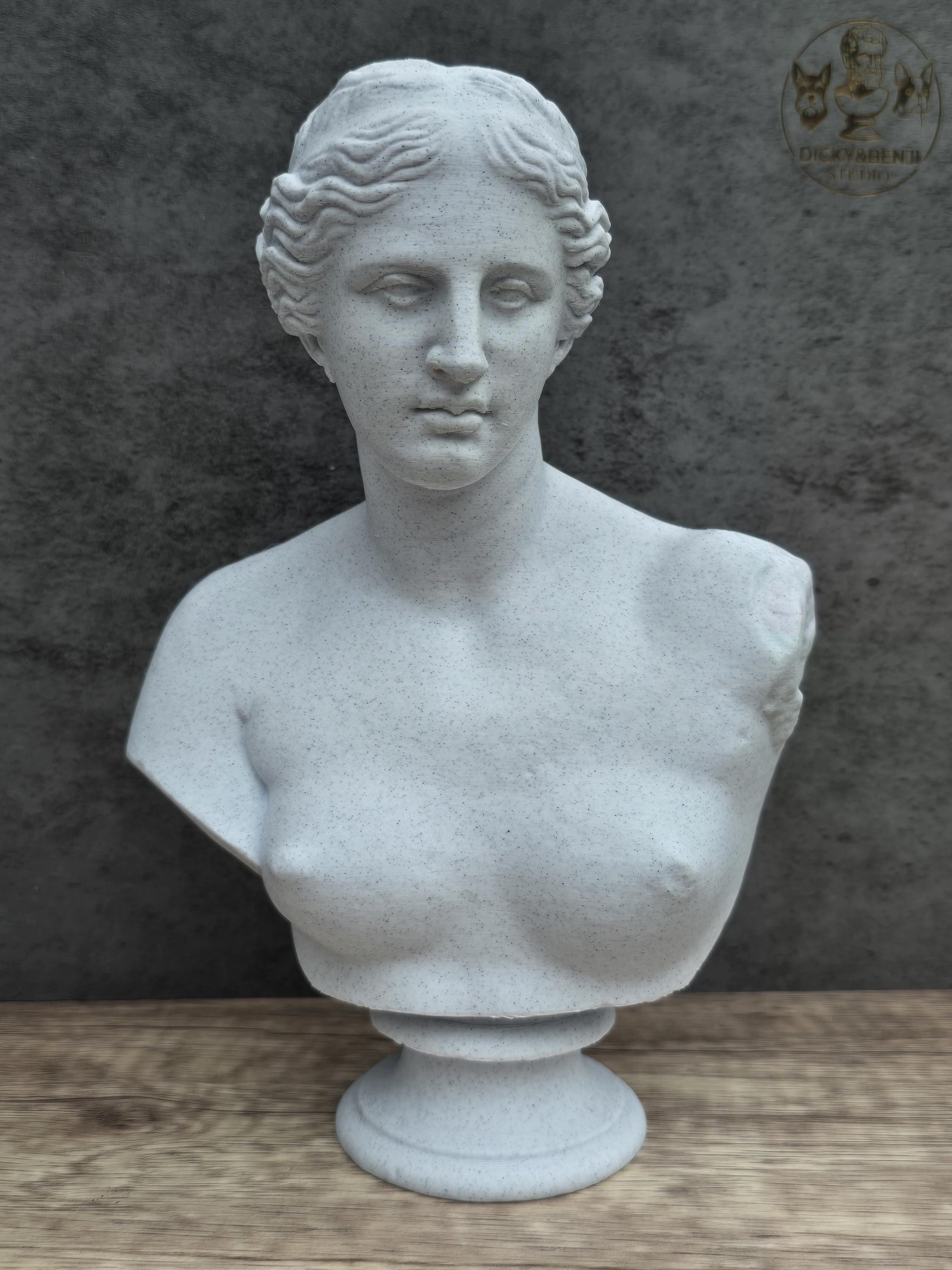 Aphrodite Bust Statue | Venus Greek Roman Goddess Sculpture | Classical ...