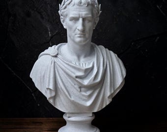 Julius Caesar Bust, Roman Emperor Statue, Bookshelf Decor, Dark Academia Decor, History Gift