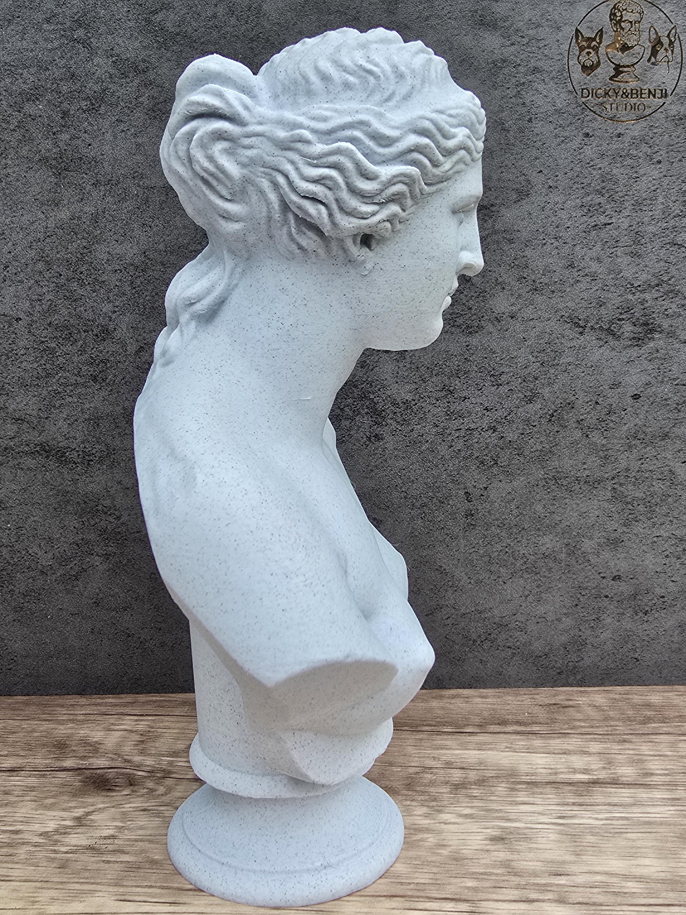 Aphrodite Bust Statue | Venus Greek Roman Goddess Sculpture | Classical ...