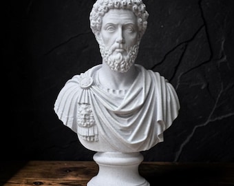 Stoic & Philosophy