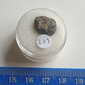 Boxed  NWA 869 Stone Chondrite Meteorite  2.113 grams