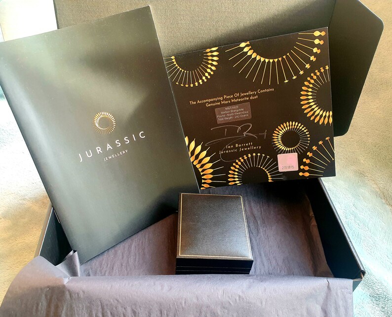 Halsband med äkta meteoriter – Meteoritstjärndust-hänge i glasrör – Rymdsmycken – Himmelsk gåva bild 5