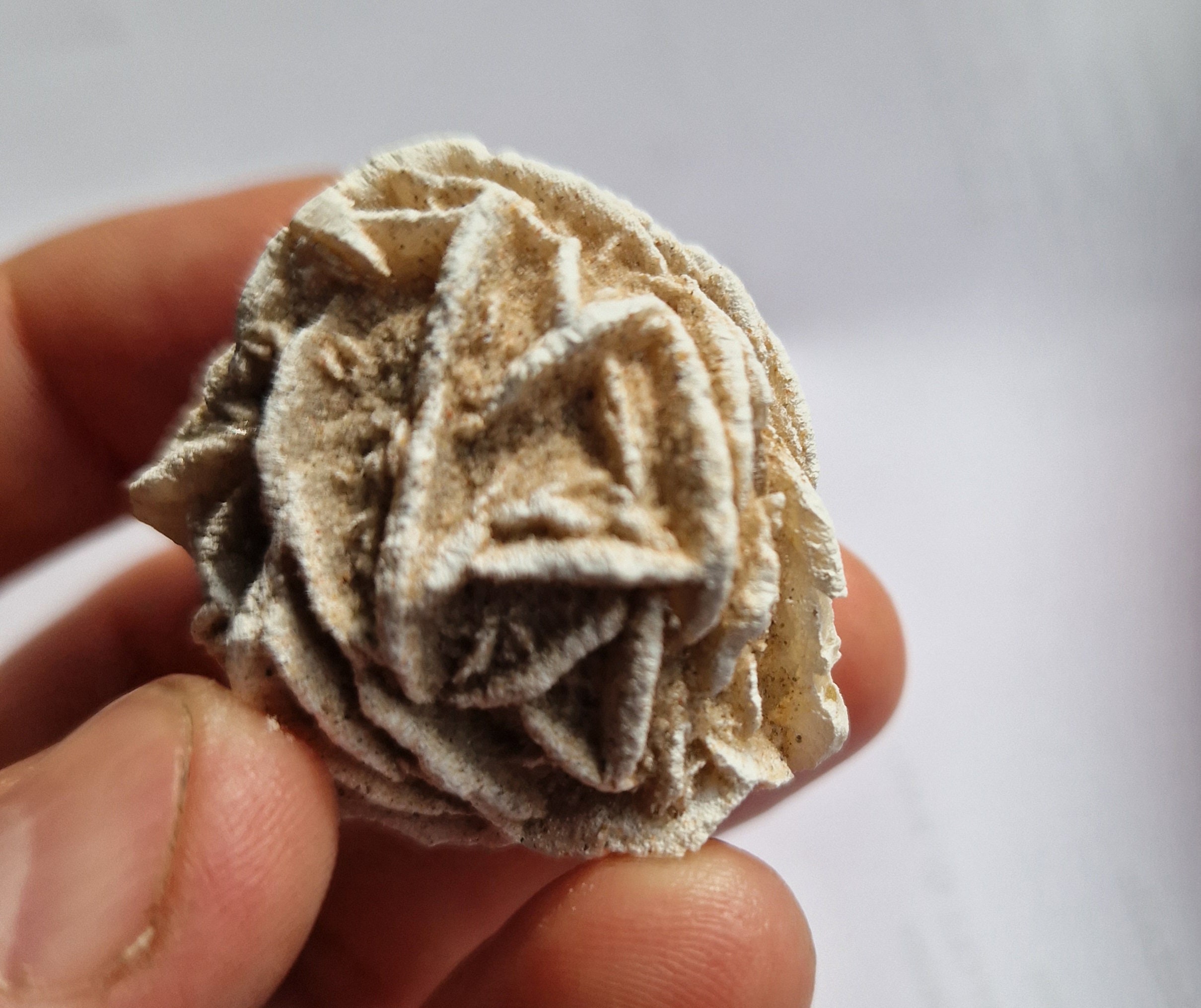 アルジェリア バラ石 Desert Rose Crystal -ONE BOXED - Algeria - Etsy
