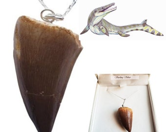 Halsband med riktig Mosasaurus-tand – Fossil-tandhänge – Förhistoriskt sjömonsterfossil – Smycken från dinosaurieåldern – Unik fossilgåva