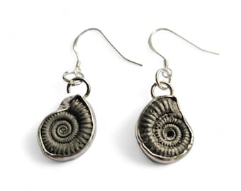 Charmouth Fossil  Ammonite  Earrings - Sterling Silver And BEAUTIFUL PRESENTATION