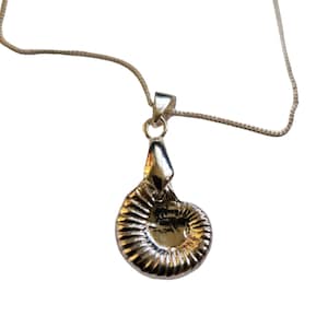 Solid Silver Fossil Ammonite Necklace  - New Style