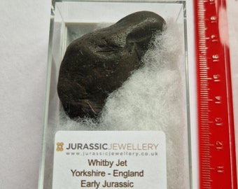 Whitby Jet   - Superb Large Boxed Piece  - 5.5cm