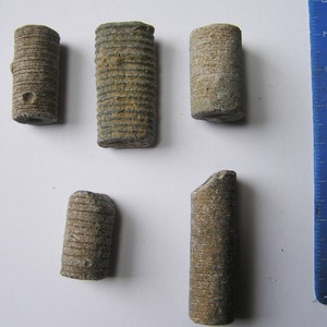 Bag of 5 Fossil Crinoid Stems - Morocco -