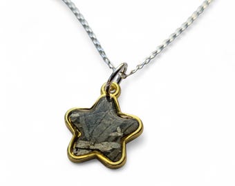 Aletai Iron Meteorite Pendant | Widmanstätten Pattern Meteorite Necklace | Sterling Silver Chain