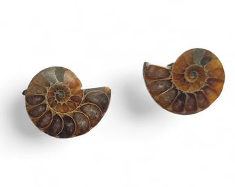 Ammonit Manschettknappar – Äkta Fossil Ammonitskiva – Silverpläterade Manschettknappar för Herrar – Fossil Smycken Gåva