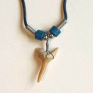 Fossil Sand Tiger Shark Tooth Necklace On Rubber Thong - Super New Presentation