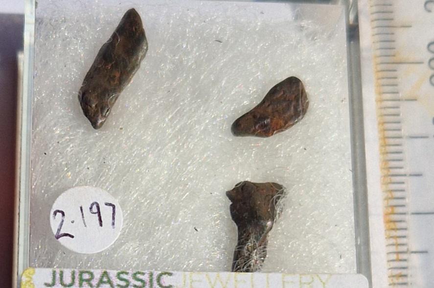 Agoudal Iron Meteorite Set – 3 Genuine Meteorites – Rare Moroccan ...