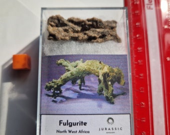 LARGE Boxed Fulgurite - AMAZING Solidified Lightning 4.3cm