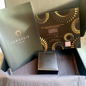 Puede incluir: Una caja negra con un logotipo de Jurassic Jewellery negro y dorado en la tapa. La caja est&aacute; abierta y contiene una caja de terciopelo negro con un borde dorado. La caja est&aacute; sobre una superficie con un patr&oacute;n blanco y negro. La pieza de joyer&iacute;a que la acompa&ntilde;a contiene polvo de meteorito marciano aut&eacute;ntico.