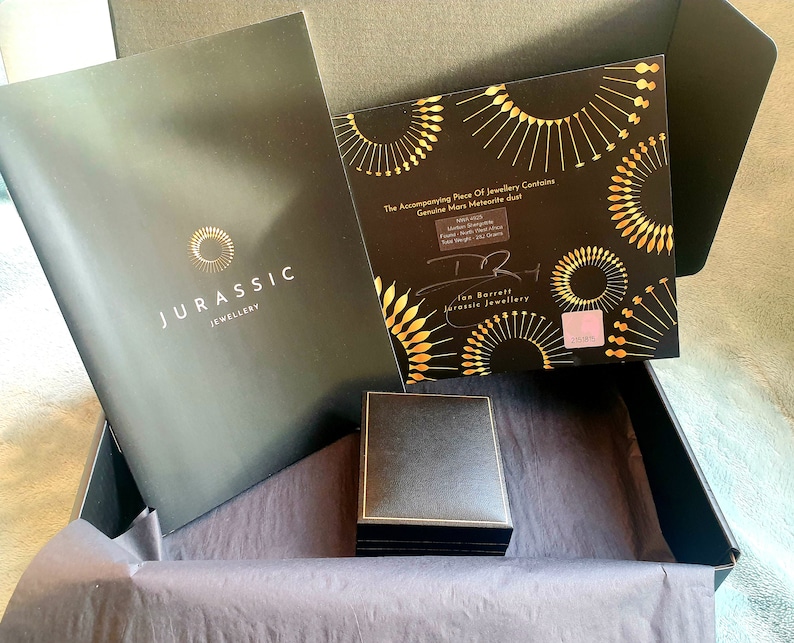 Puede incluir: Una caja negra con un logotipo de Jurassic Jewellery negro y dorado en la tapa. La caja est&aacute; abierta y contiene una caja de terciopelo negro con un borde dorado. La caja est&aacute; sobre una superficie con un patr&oacute;n blanco y negro. La pieza de joyer&iacute;a que la acompa&ntilde;a contiene polvo de meteorito marciano aut&eacute;ntico.