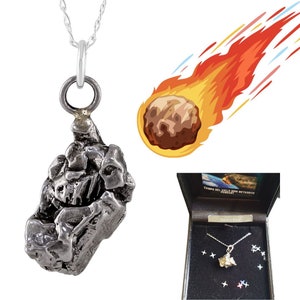 Whole Iron Meteorite Necklace - A CLASSIC!