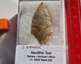 Stunning Little Neolithic Flint Tool  -  Sahara Desert, Africa  - 6000 Years old  -  4cm