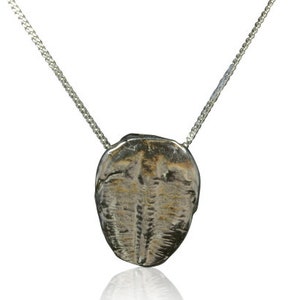 Solid Silver Trilobite Necklace - Stunning Double Box Presentation