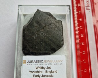 Whitby Jet   - Superb Large Boxed Piece  - 5cm