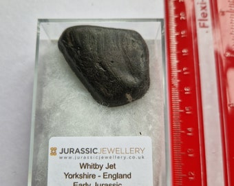 Whitby Jet   - Superb Large Boxed Piece  - 4.3cm