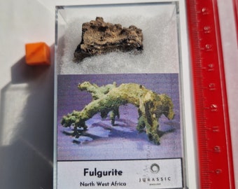 LARGE Boxed Fulgurite - AMAZING Solidified Lightning 3cm