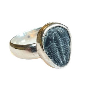 Solid Silver Ring With A Fossil Trilobite - VERY RARE