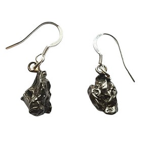 Stunning Campo Del Cielo Meteorite Earrings