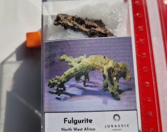 LARGE Boxed Fulgurite - AMAZING Solidified Lightning 3.8cm