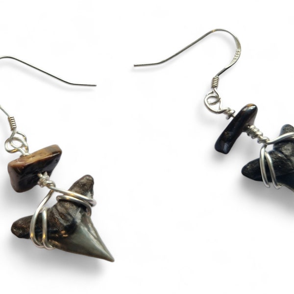 Fossil Bull Shark Tooth Earrings -Beautifully Double Boxed
