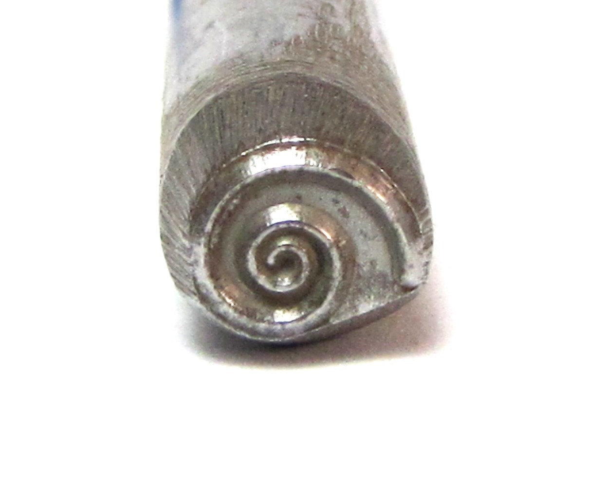 Round Coil stamp Big coil stamp natural shell coil big Etsy