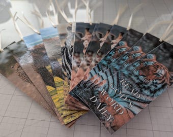 JW Bookmarks (printed for you) – 30 options with either 2025 Year Text or Read God&#39;s Word Daily | Printed & laminated!