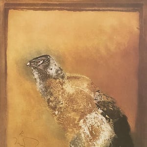 Puede incluir: Un pájaro marrón y negro con el pecho blanco está posado en una rama. El pájaro está pintado en estilo acuarela sobre un fondo amarillo. La firma del artista está en la esquina inferior izquierda.