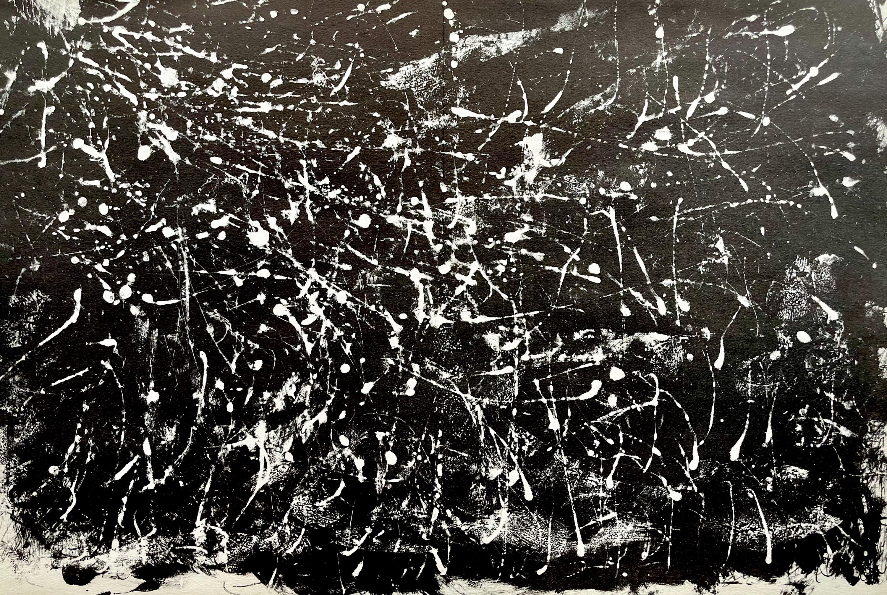 Derrière le Miroir Fiedler François Fiedler, Composition, Derrière Le Miroir, Limited Edition