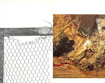 Paul Rebeyrolle - Derriere Le Miroir No. 219 - 1976 - Etsy