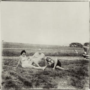 Diane Arbus, Composition, Diane Arbus, Electa Editrice Portfolios, Limited Edition Héliogravure