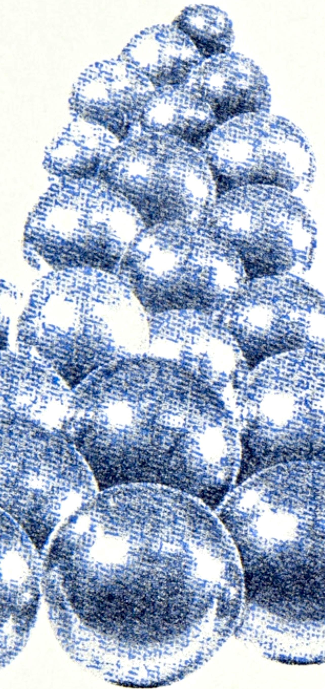 Pol Bury, Cinétisation, Derrière Le Miroir, Limited Edition