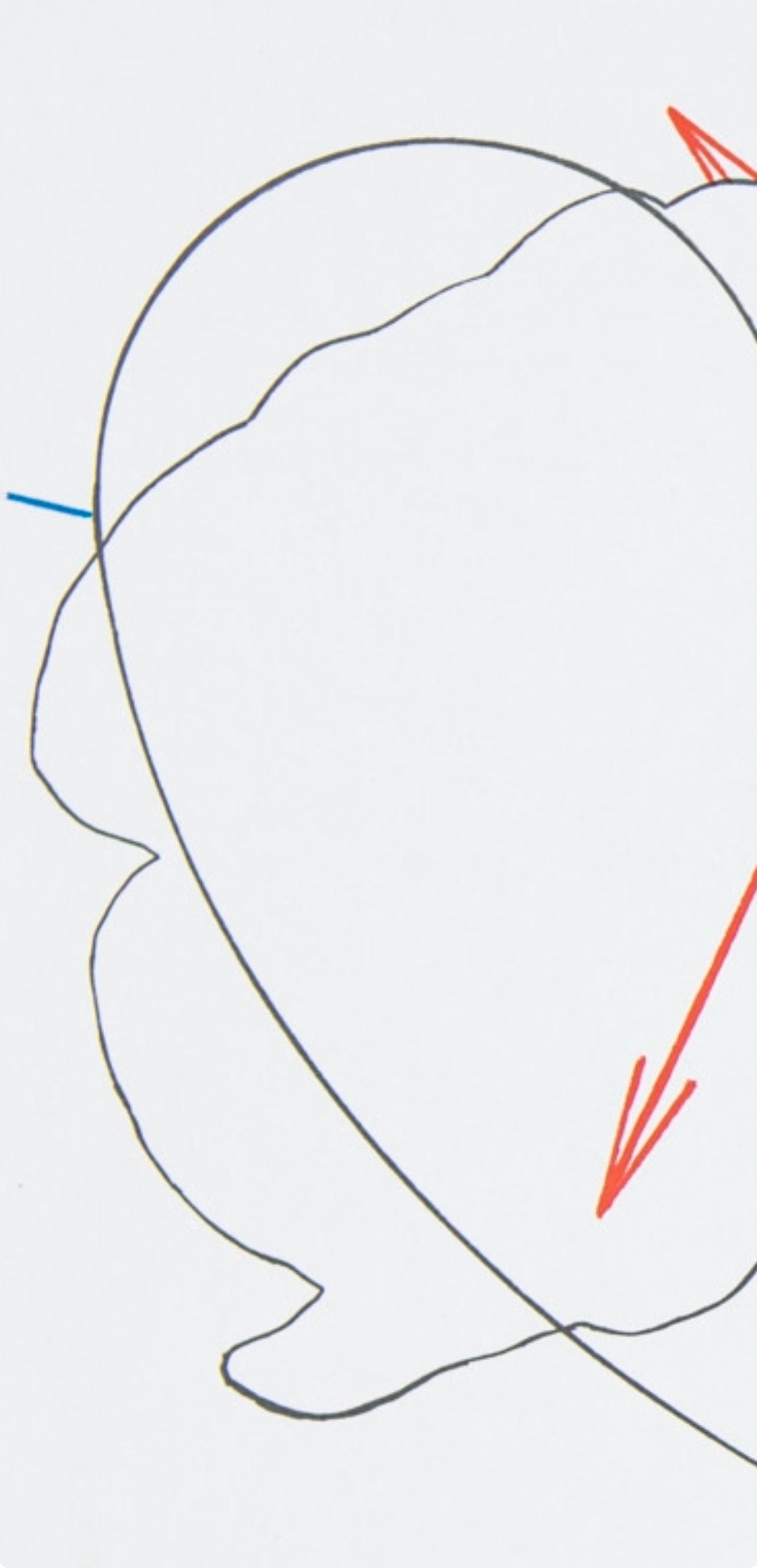 Shusaku Arakawa 荒川 修作, Composition, Derrière Le Miroir