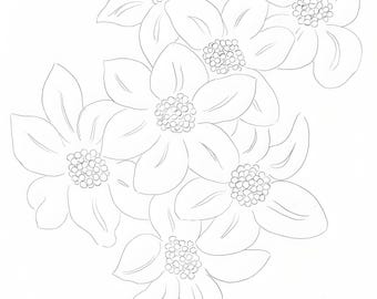 Henri Matisse, Les Fleurs, Poésies de Stéphane Mallarmé, Limited Edition Lithograph