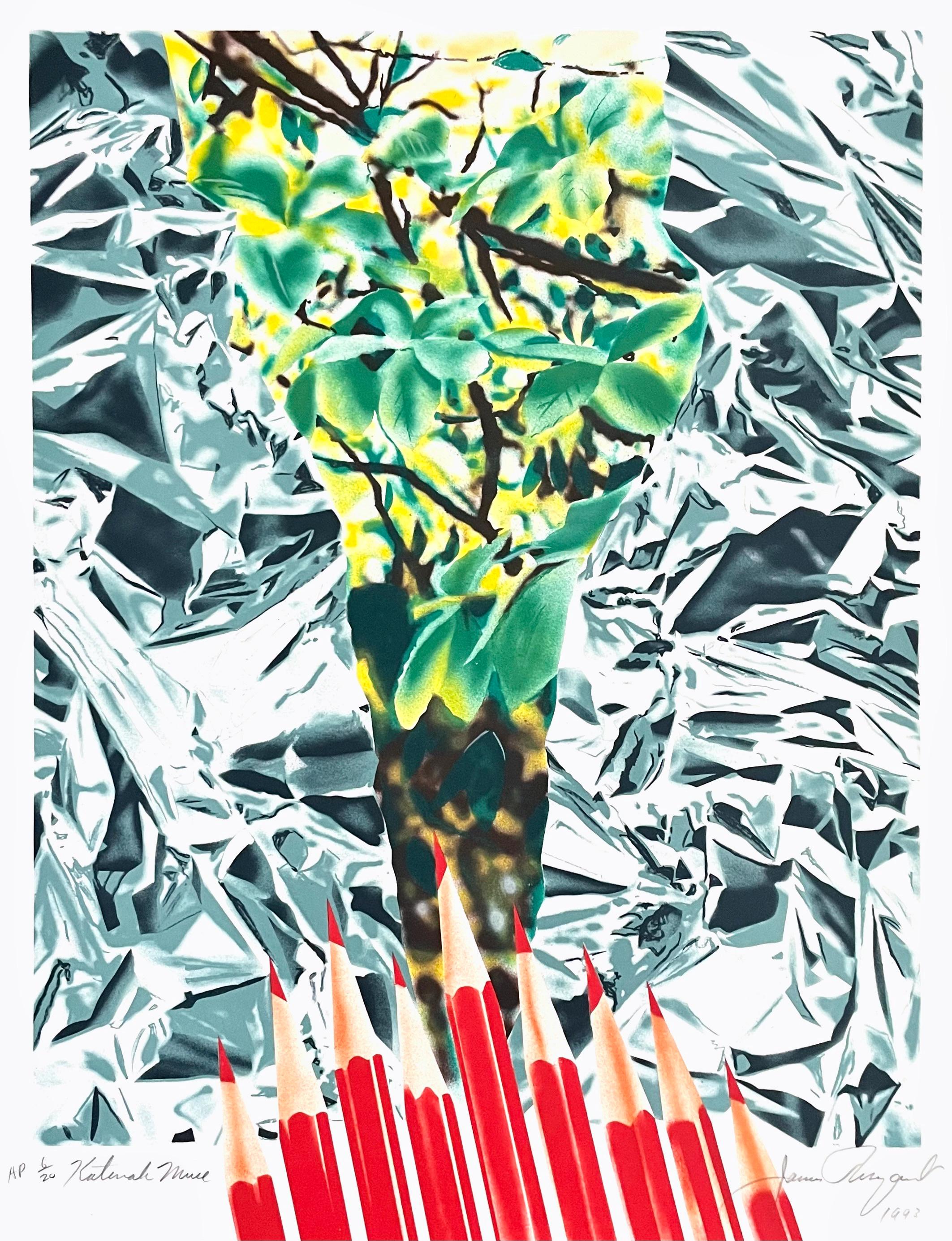 James rosenquist - Etsy 日本