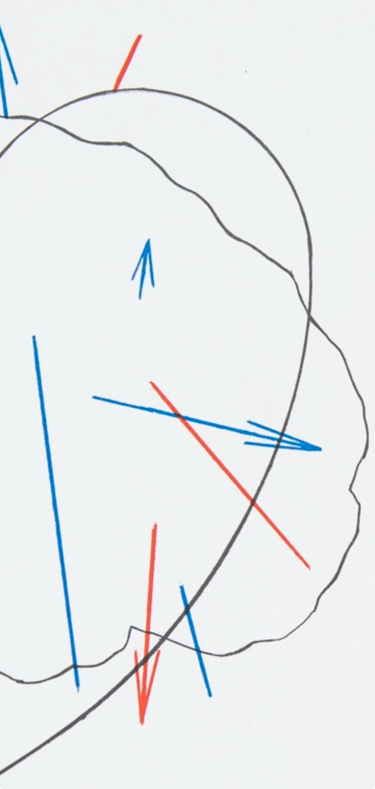 Shusaku Arakawa 荒川 修作, Composição, Derrière le miroir