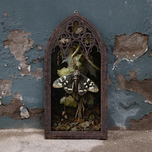 May include: A dark brown, arched wooden frame with intricate gothic-style tracery at the top, enclosing a detailed illustration of a large moth with black and cream-coloured wings resting among autumn leaves, twigs, and small acorns.