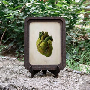Vintage Moss Heart Art | Anatomical Heart Print | Goblincore Wall Decor | 3D Laser Cut Frame | Nature Lover Gift | Medical Student Decor